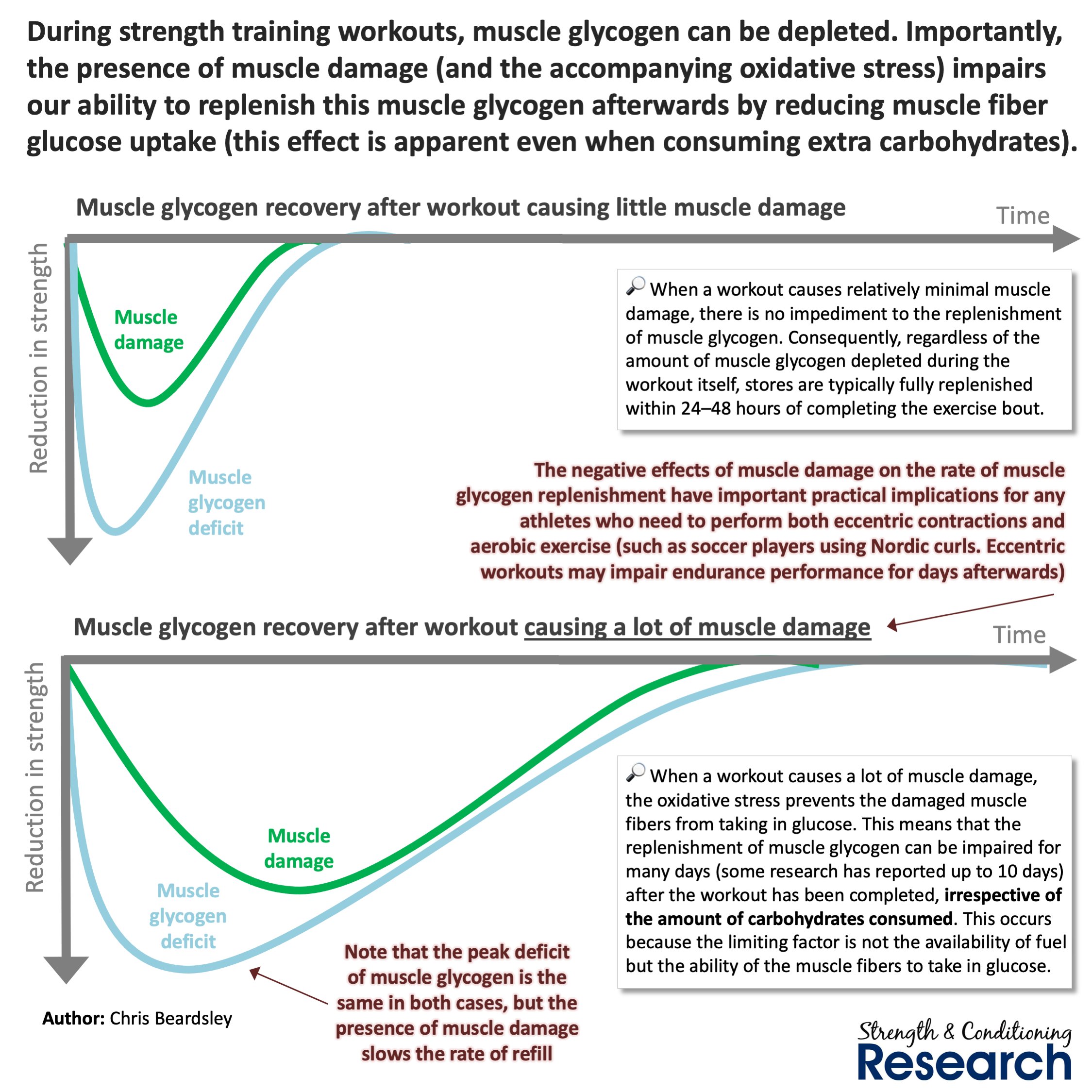 Glycogen replenishment and recovery