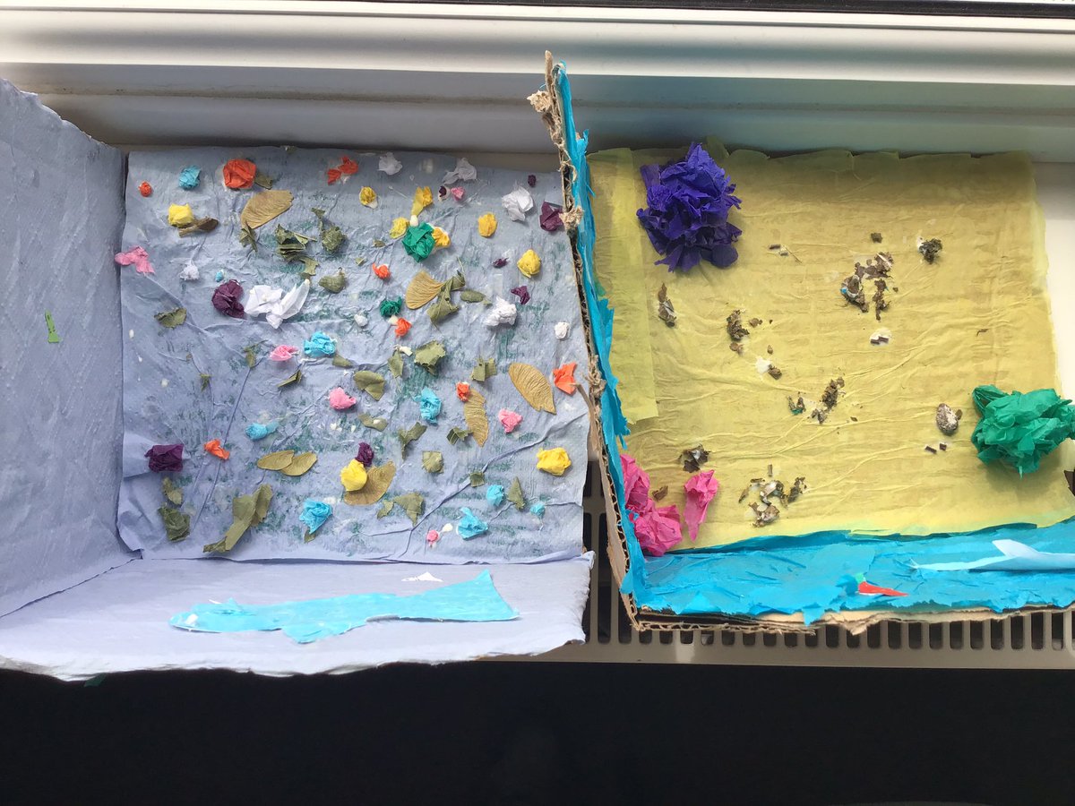 Sacred Heart Y4 tweet media