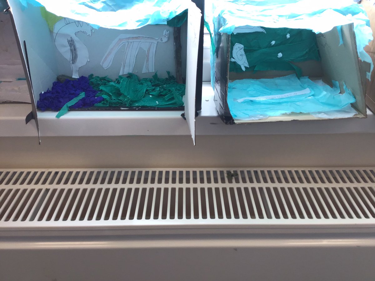 Sacred Heart Y4 tweet media