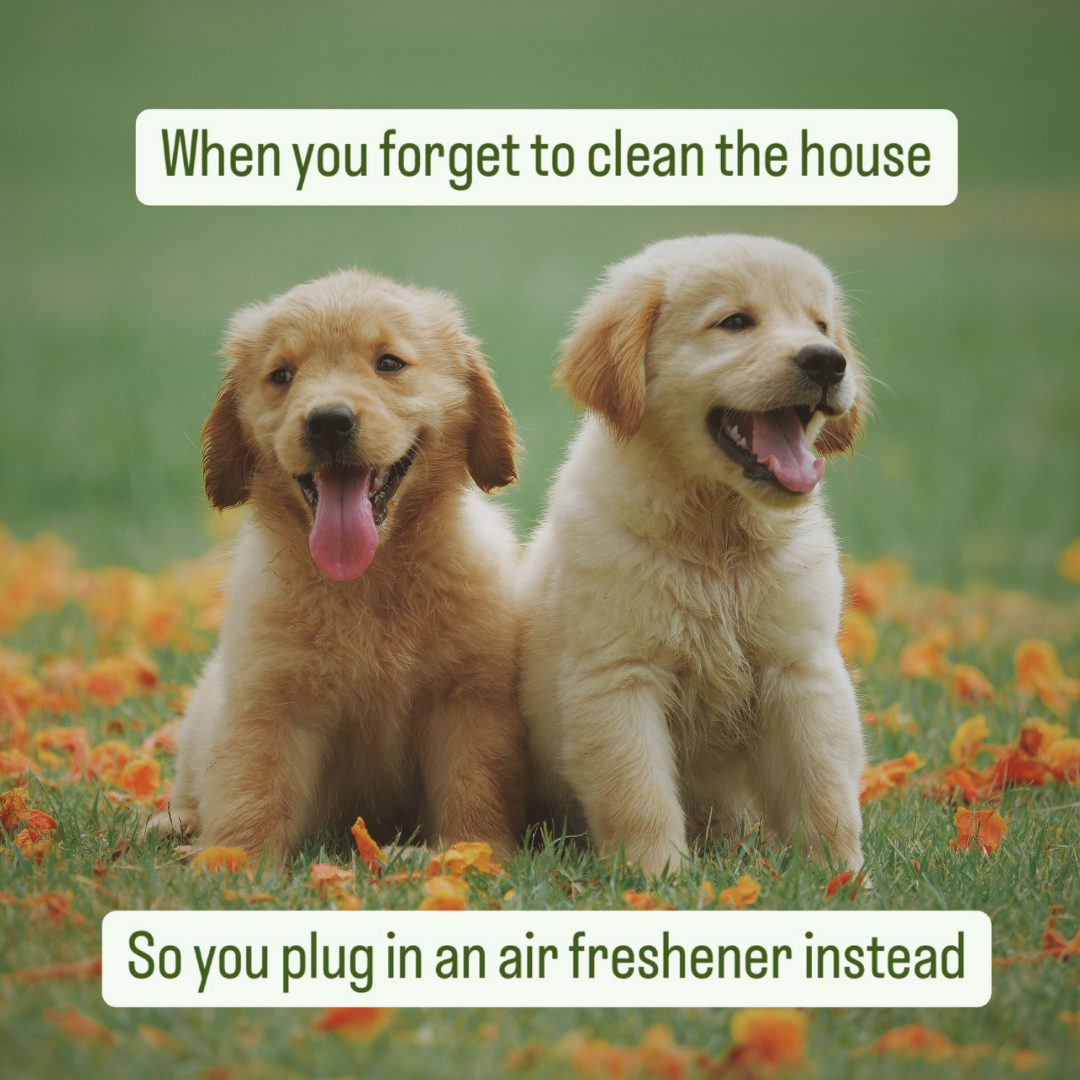 Enviroscent tweet media