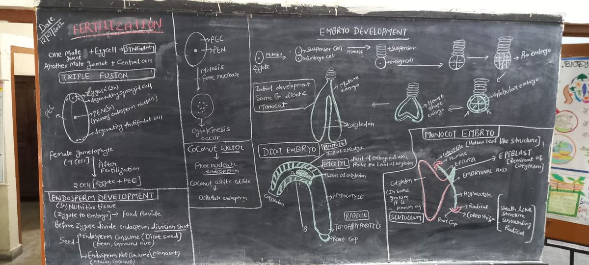 BhartiAnita's tweet photo. #Bioclass@ Govt Coed SSS No 1 Roop Nagar
@Dir_Education @gupta_iitdelhi @PbpandeyB @EMCCLASS https://t.co/aQQCmoTVth