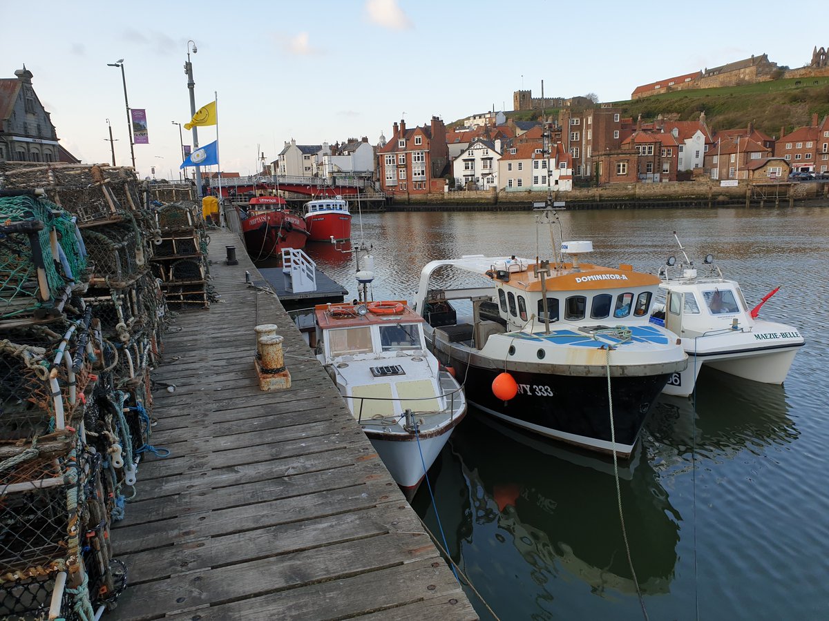 Bryce Stewart (@bd_stew) on Twitter photo If you're a commercial fisherman, please consider filling out this 10-minute online questionnaire to voice your views about #fisheries governance in England: qfreeaccountssjc1.az1.qualtrics.com/jfe/form/SV_9B… This link works! The research is by Max Dixon, MSc student at University College London. Pls RT🐟 If you're a commercial fisherman, please consider filling out this 10-minute online questionnaire to voice your views about #fisheries governance in England: qfreeaccountssjc1.az1.qualtrics.com/jfe/form/SV_9B… This link works! The research is by Max Dixon, MSc student at University College London. Pls RT🐟