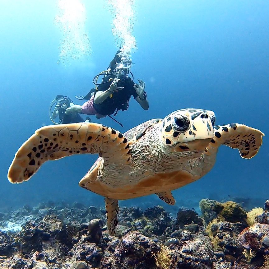 Amazing diving here at the Maldives👌🏼✨ @discoversoneva @maldives_soneva_jani