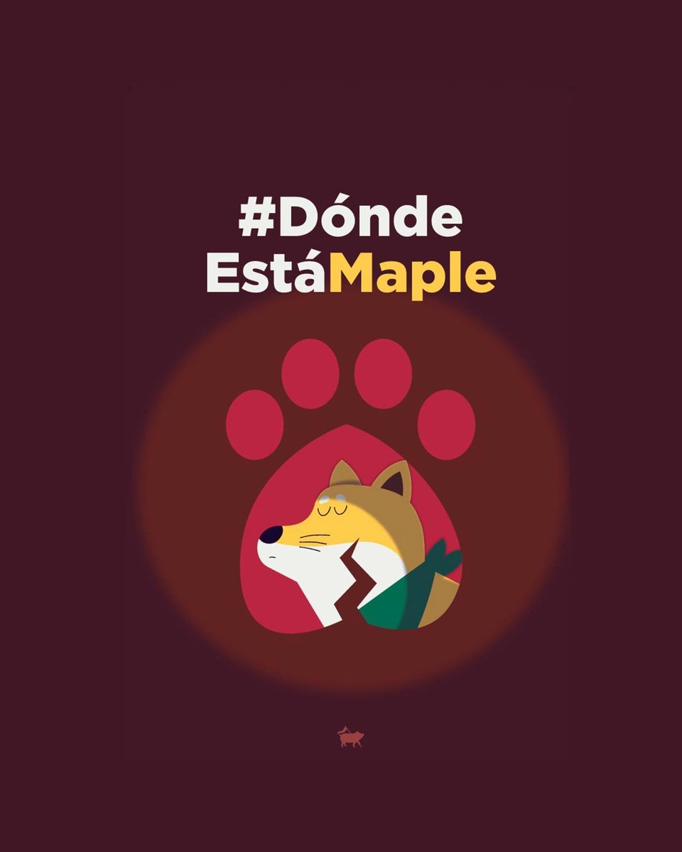 rociouniverso's tweet photo. #DondeEstaMaple  #VaPorMaple @pictoline @GobiernoMX https://t.co/lrxI4rFKf4