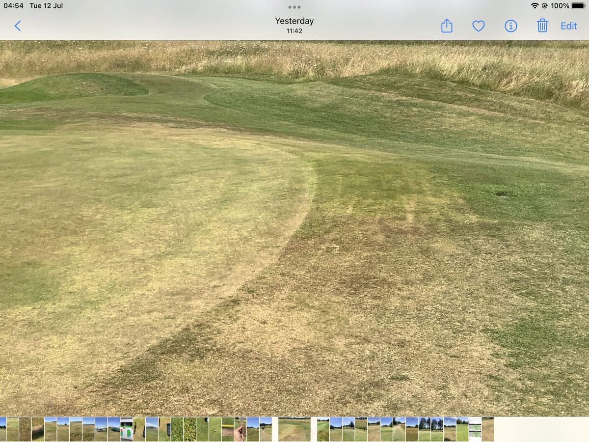 WoodhamPW's tweet photo. With temperatures likely to be near 30C for the next week I feel that golfers could play their part to help protect green collars and surrounds from damage by keeping trolleys further away from the green edges @GolfMonthly @BIGGALtd @GCMAUK @TheTodaysGolfer https://t.co/qbJjq7QGIc