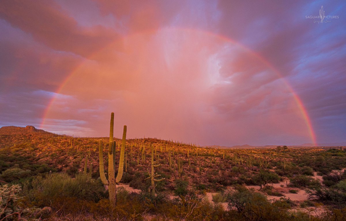 Full rainbow right at sunset in Saguaro National Park East tonight. #azwx #rainbow #saguaronationalpark #saguaropictures