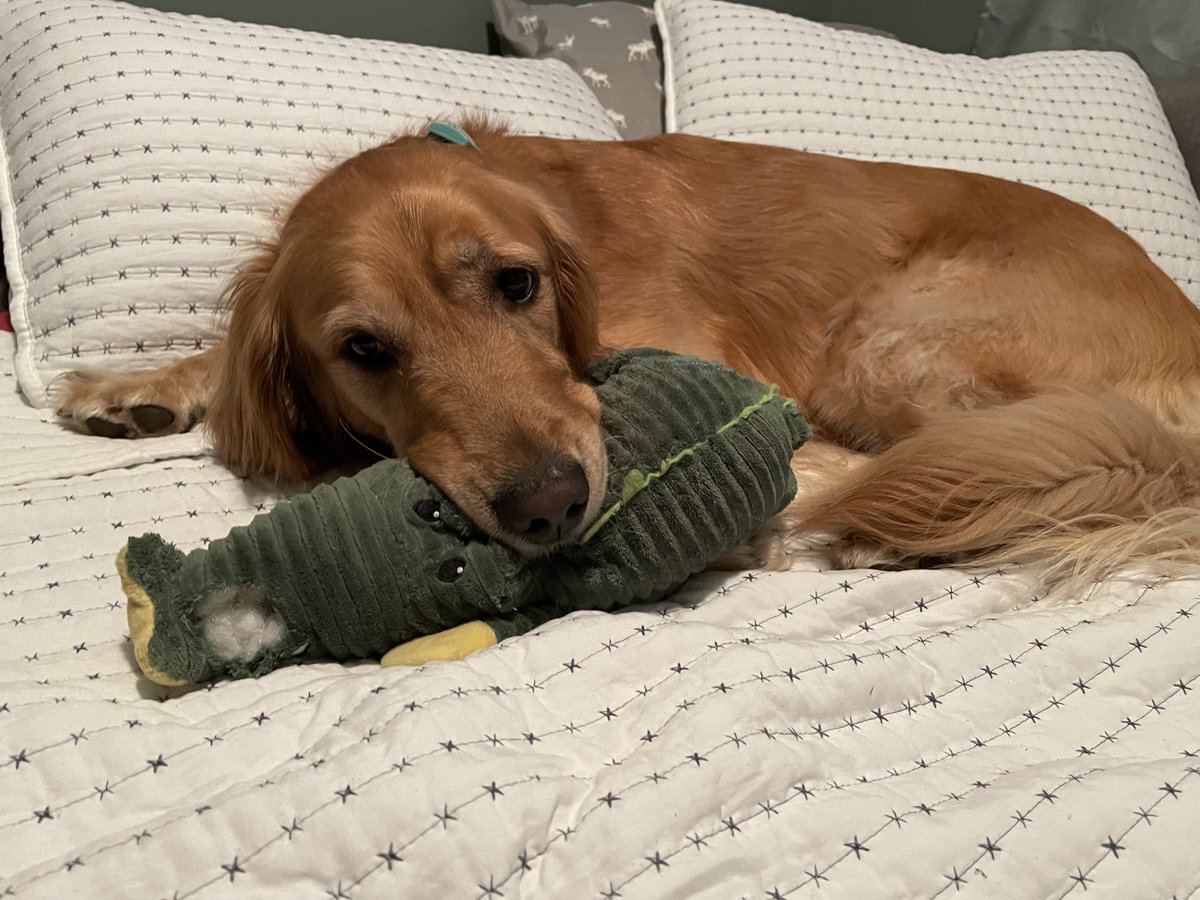 ♥️Carolyn & Family #StandWithUkraine🌻♥️🌻 tweet media