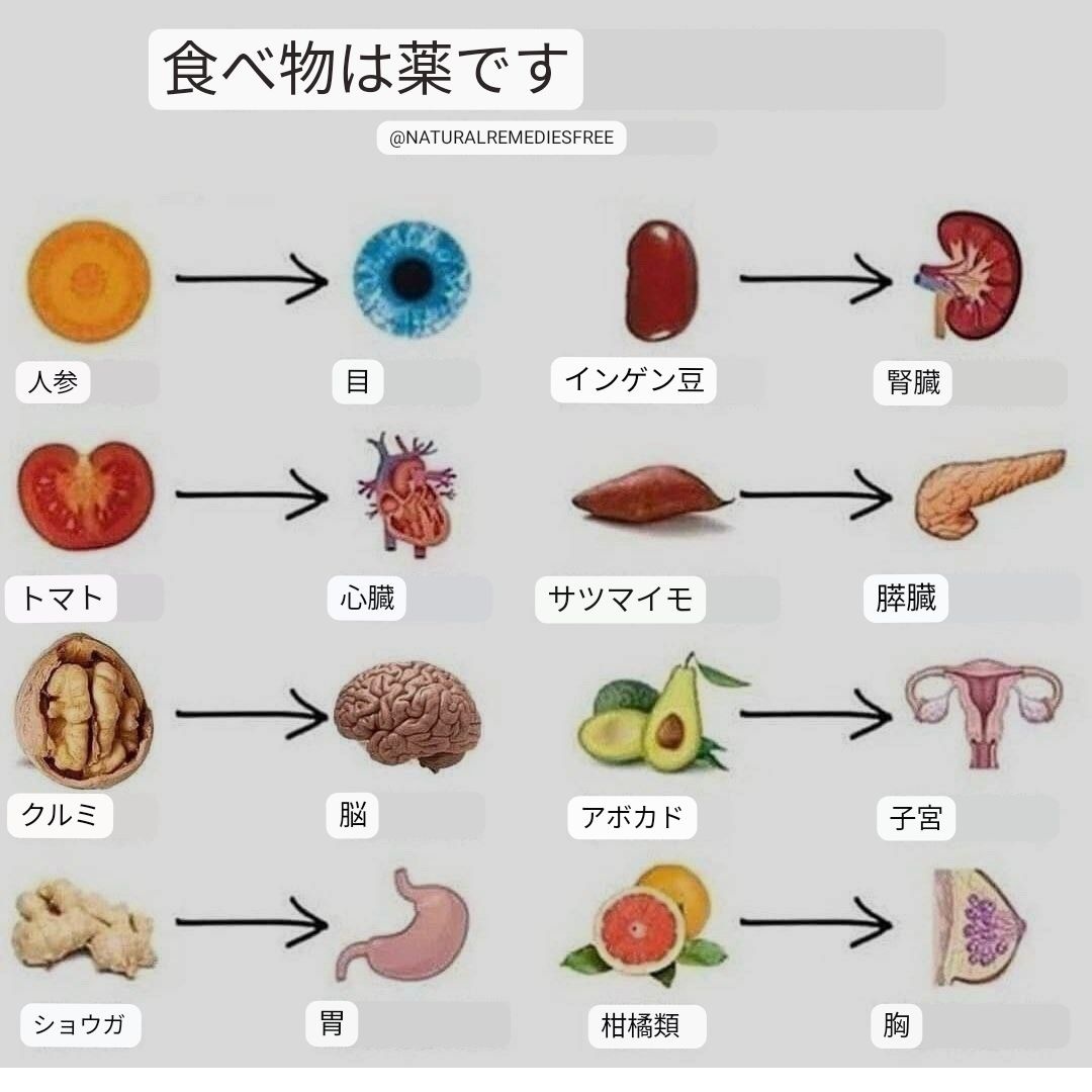 身近な食べ物健康法 ふくしま自然の薬ガイド/歴史春秋出版/大沢章2000年05月11日