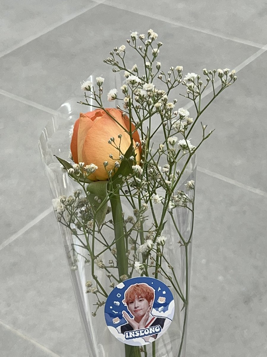 pumcastleworld's tweet photo. 𝙇𝙤𝙫𝙚 𝙂𝙧𝙖𝙙𝙖𝙩𝙞𝙤𝙣 ˖ ࣪⊹ᰔ
꽃선물은 언제나 기분이 좋은데 인성이 생일을 함께 축하하는 좋은 마음으로 열어주신 이벤트로 받은 꽃이라 더 기뻤어요
기본 특전들도 이렇게 두둑하고 예뻐도 되는건가요 이벤트 열어주셔서 감사합니다!!
#Love_Gradation_Inseong
#눈부셔_멀리서도_빛이나잖아 https://t.co/z2gm36Iern