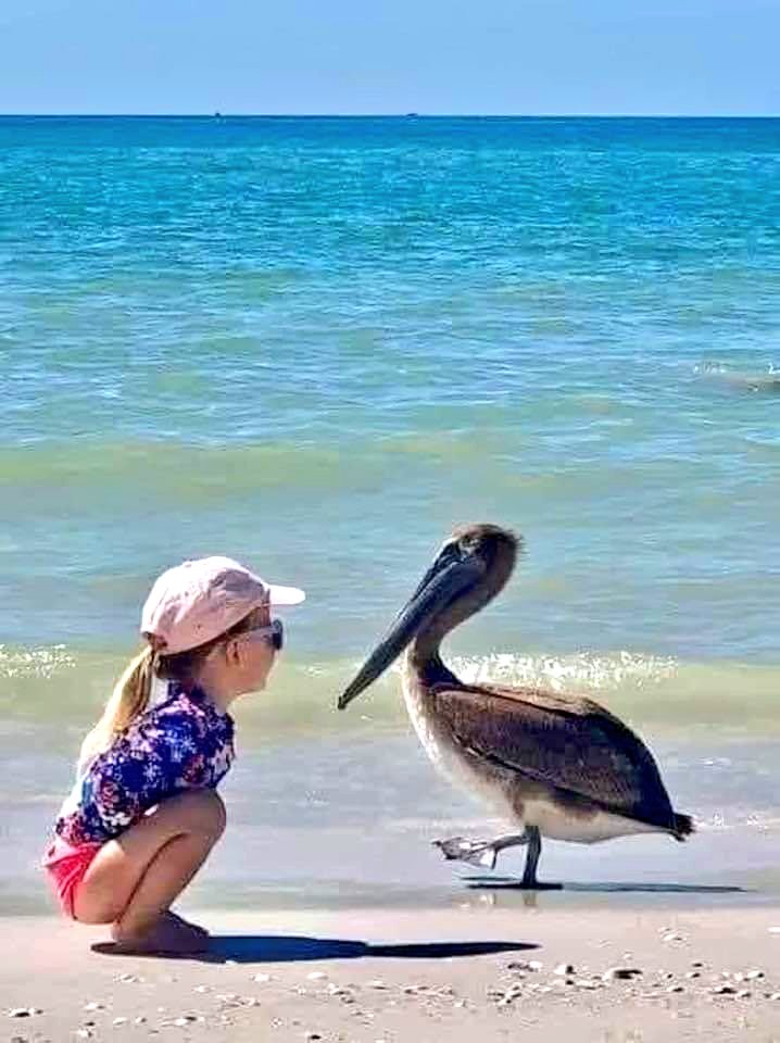 Buona giornata a tutti ☀️🌈😘💕