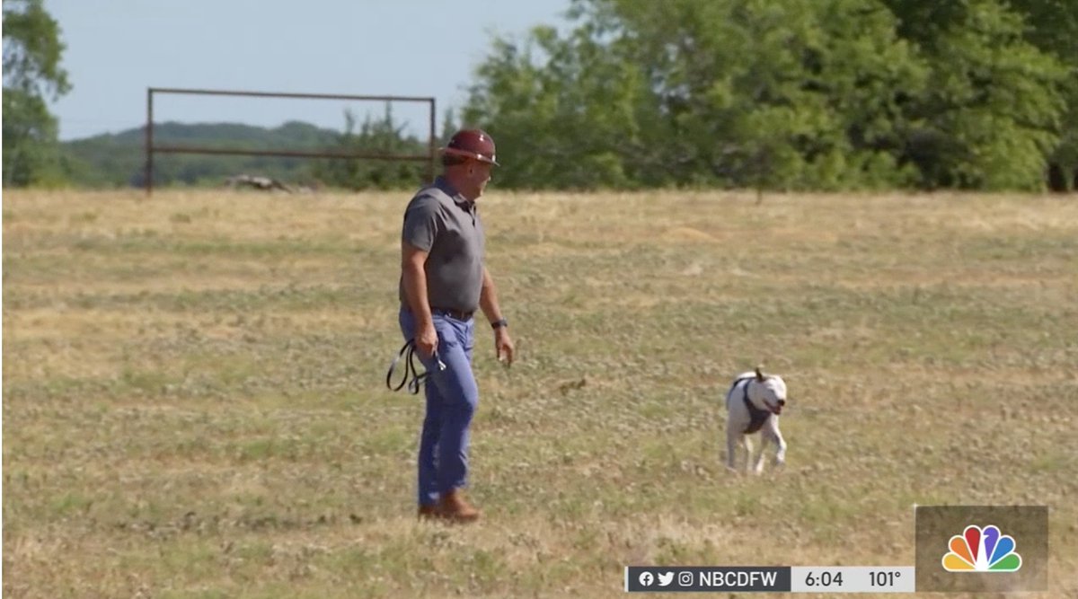 [ Becoming GigaDog] 

I made my TV debut today on <a href="/NBCDFW/">NBC DFW</a> as I surveyed Riot's Corsicana 1 GigaWatt Facility.  

This new facility will stabilize the #ERCOT grid and keep the lights on for citizens in the surrounding area. 

#Bitcoin #DogsofTwittter #Corsicana #Texas