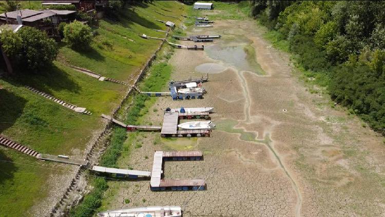 Mike Blackmore tweet media