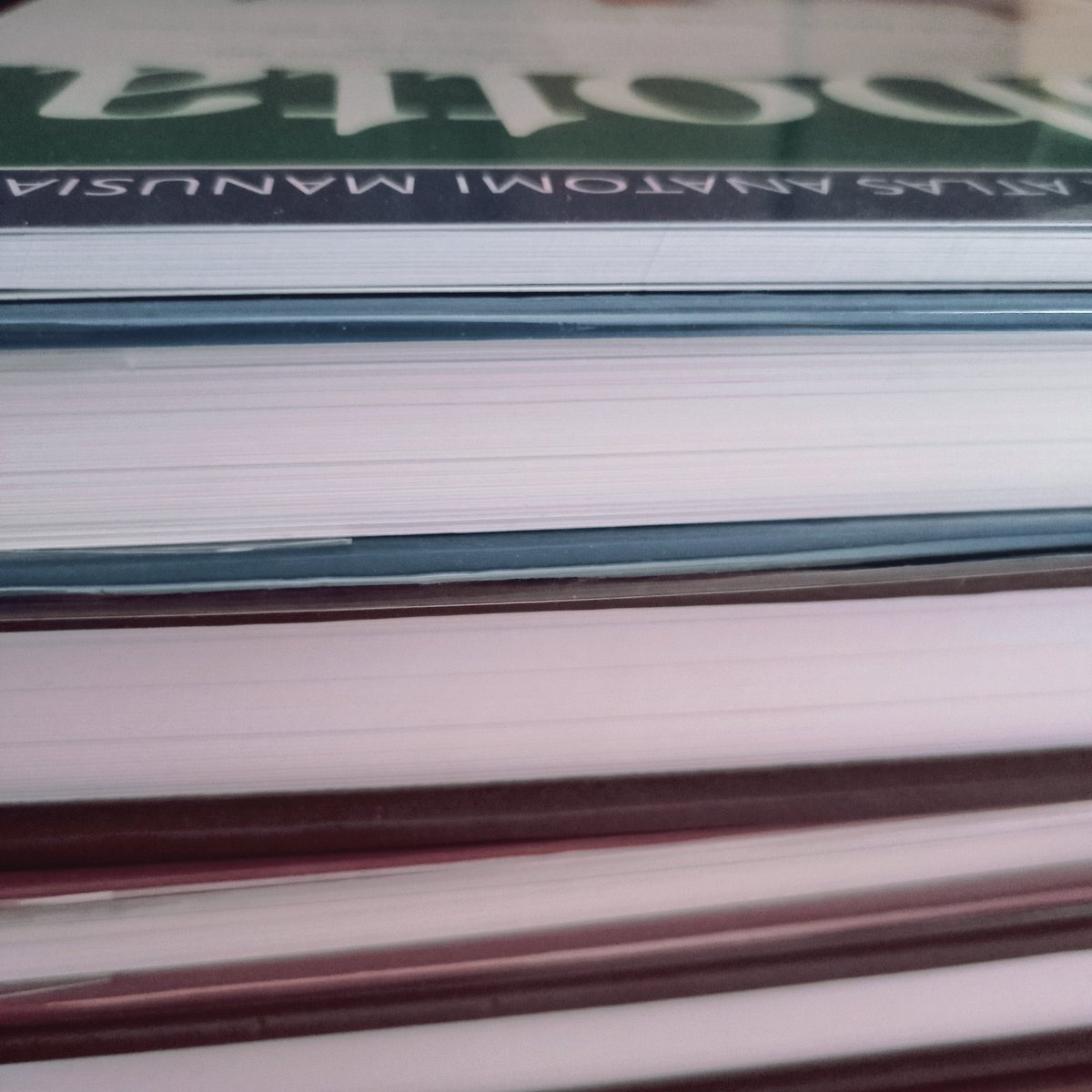 ple_medstudent's tweet photo. 📚 Buku rekomendasi untuk semester awal kedokteran 📚
#bukufk #kedokteran https://t.co/ky9DFy1rIv