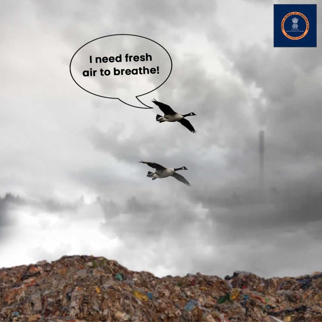 CBCAmravati's tweet photo. Hello Hear ..The voice of Nature..
I need Fresh air to breathe..
#SUP
#plasticfree
#quitsingleuseplastic
#environment
#SaveBirds https://t.co/pjwhbYejBt