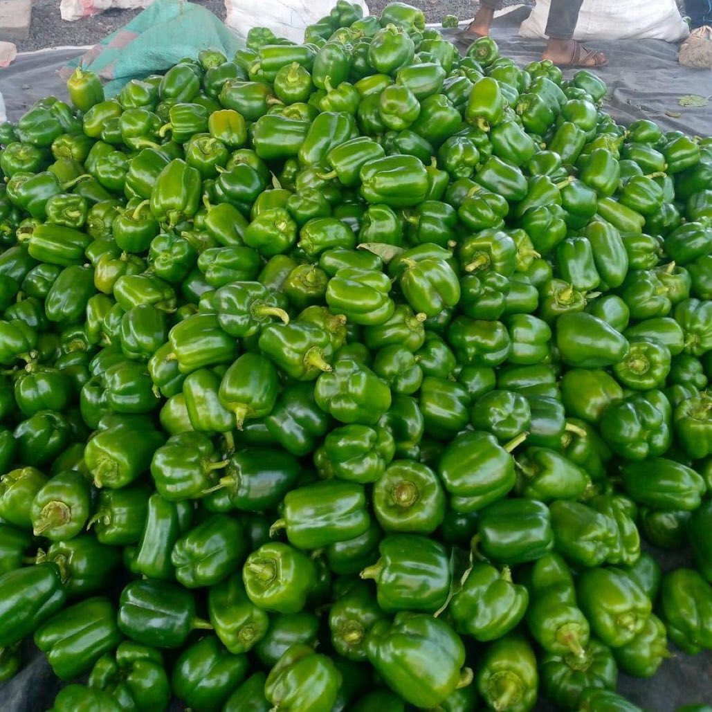 Feeding the community is a huge success