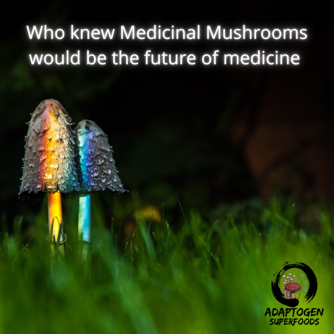 Adaptogenin's tweet photo. Get your medicinal mushrooms today at https://t.co/WIKC4UMG76

#antiviral
#immunesupport https://t.co/Xh20lH7HtH