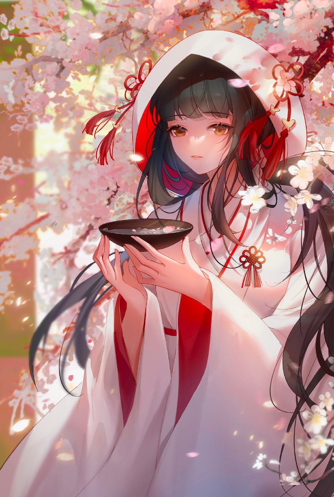 桔梗_kikyo.520 on X: 