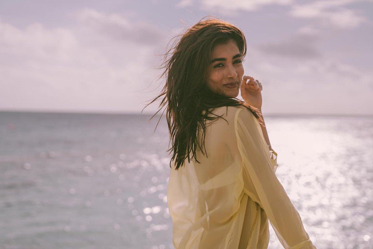 Fancycinema's tweet photo. #PoojaHegde
#newclicks #photo #PhotoOfTheDay https://t.co/TSfX3I5ekv