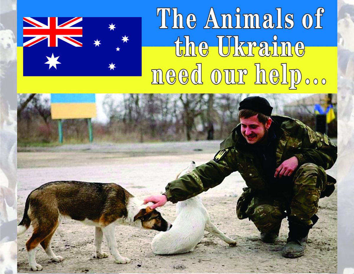 OzDogLover's tweet photo. Aussies urged to help raise funds for the refugee #animalsofukraine.
#AWAMO in partnership with #PETstockAssist is helping to facilitate a delivery of more than $200,000 of essential #petcare supplies to animals impacted by the war in #Ukraine next month.
https://t.co/i6ek2f5Zrm https://t.co/c6ShUtA1vD