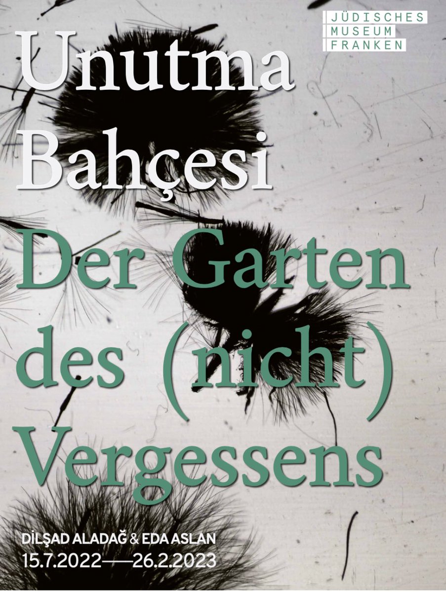 Daniela F Eisenstein tweet media