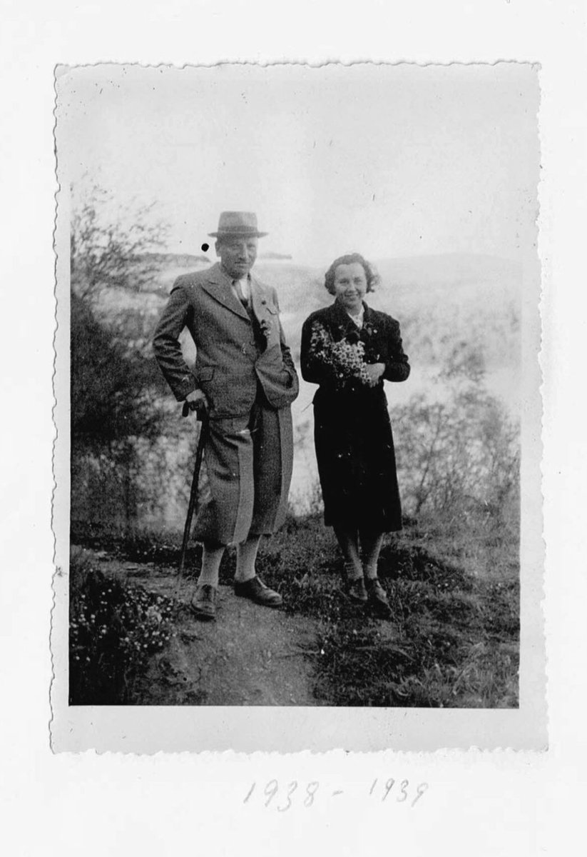 Daniela F Eisenstein tweet media