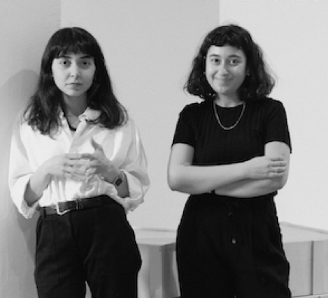 Daniela F Eisenstein tweet media