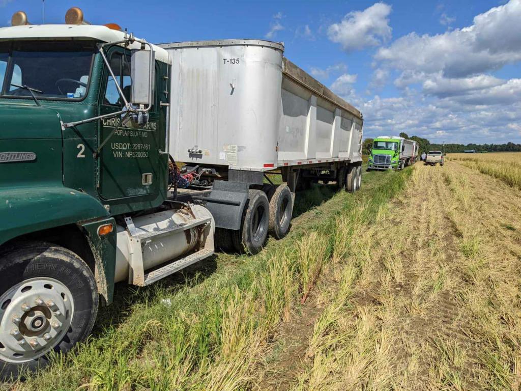 Ukrainian refugee with lots of farming experience looking for agricultural work. Currently based near Grantham (Belton) with host family. Excellent English 
Please share