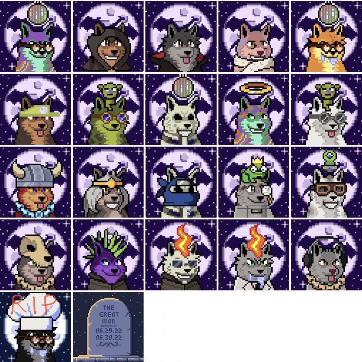 <a href="/SpaceGrouper/">SpaceGrouper</a> #PawsUp #IYKYK #moonrunners #wolfpack #AWOOOOOOOO