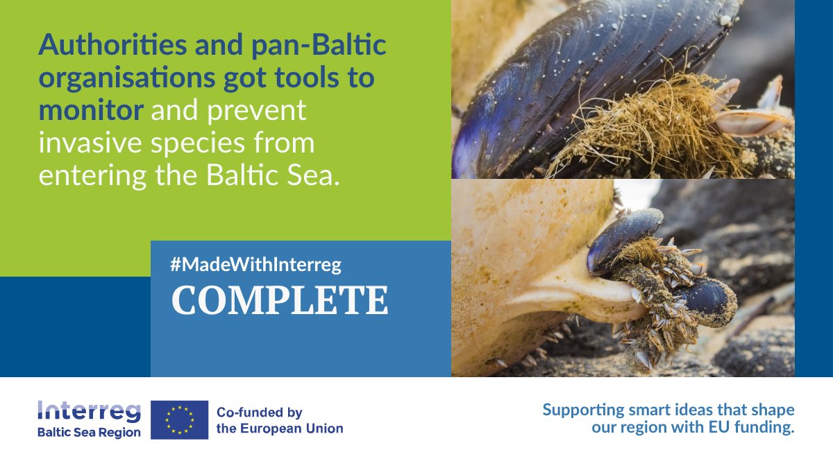 Ships often bring in invasive species with them in ballast water tanks or ship hulls that threaten native aquatic organisms in #BalticSea. 

#MadeWithInterreg project #COMPLETE translated the existing regulations into a working system to prevent that.

▶️interreg-baltic.eu/project/comple…