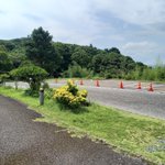 ツイートに含まれる画像