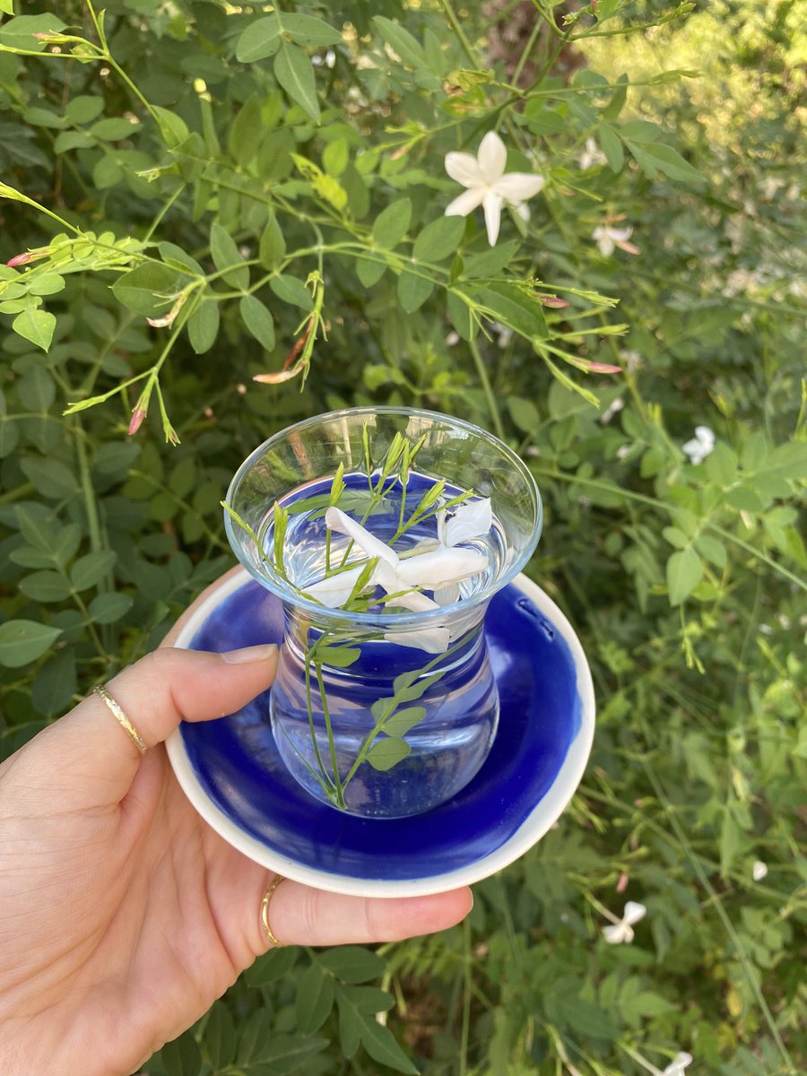 ozlemtuna_com's tweet photo. Yasemin kokusu ve tadıyla uyanıyorum.
Gün; görsel nefes alma alanlarımızda doğayla ve sevdiklerimizle dansla devam etsin🍃
“I wake up to the smell and taste of jasmine. The day continues with nature in our visual breathing spaces and dancing along with our loved ones.🍃 https://t.co/iVfBp4vbMr