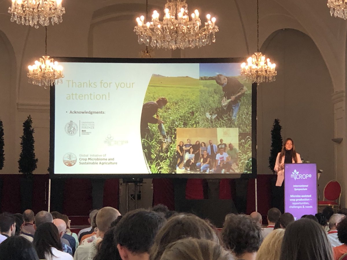 An excellent talk on wheat microbiome by ⁦<a href="/CangioliLisa/">Lisa Cangioli</a>⁩ of ⁦@alessiome73⁩. It is excellent to see how ⁦<a href="/CropGlobal/">Global Sustainable Agriculture & Environment</a>⁩ work was integrated in her study!