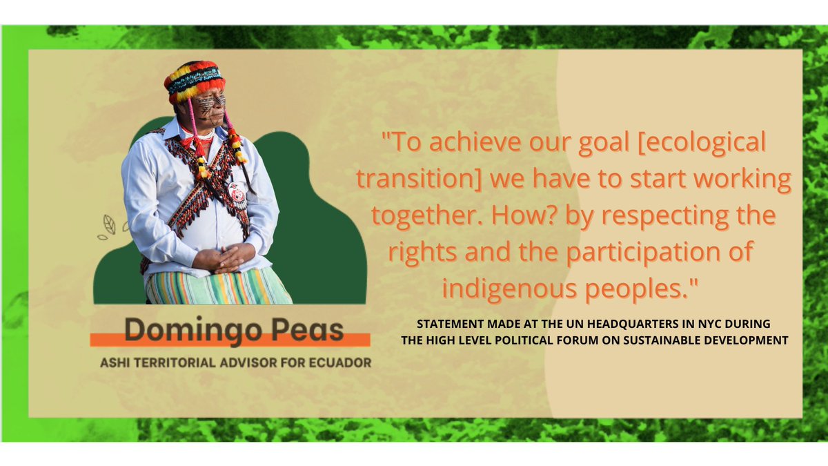 AmazonHeadwater's tweet photo. Our Territorial Coordinator, Domingo Peas, was at the UN Headquarters today to speak at the High Level Political Forum on Sustainable Development. Indigenous peoples protect 80% of biodiversity.They are 6% of population #represent #StrongerTogether #sacredheadwaters #AmazonStrong https://t.co/RlCGDuExVO