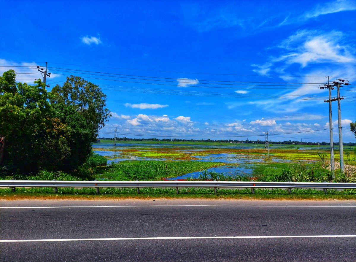 imratulhossain's tweet photo. Where all the colours are combined all together perfectly. 
Place: Tangail-Sirajganj Highway, Bangladesh
#nature #NatureBeauty #NaturePhotography #travel #photography #colourful #HOLIDAY https://t.co/yfxzdAiEma