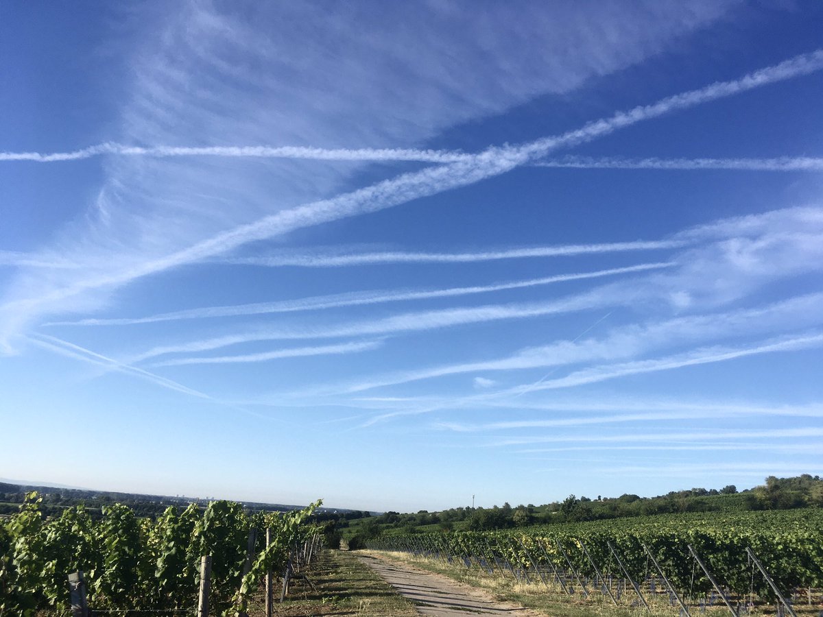 ElefantImRaum2's tweet photo. Die #Hitzewelle steht bevor, ich genieße den kühlen Morgen und brauche nur in den Himmel schauen, um zu sehen, dass es nicht die gegenwärtige #CO2-Konz. sein wird, die das Thermometer heute an die 30Grad Marke katapultiert. #Backofentür #TrustSciene #FuckYou @diegruenen https://t.co/EIo7D0dnWF