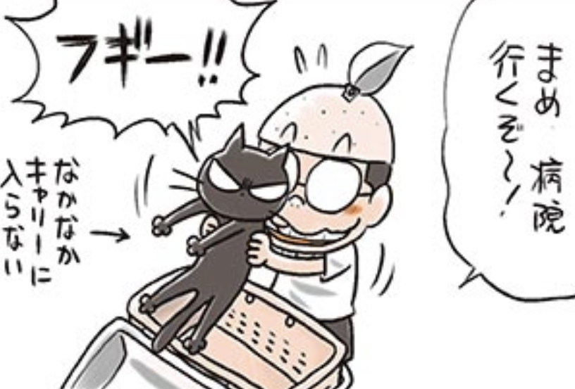 猫を病院へ連れてくのって一苦労だったりしますが…。  樫本学ヴが描く、黒ネコと漫画家のなにげない日常4コマ『うちのネコは飼い主に優しい。』は「週刊コロコロ」で読めますよ。https://www.corocoro.jp/episode/3270375685308078274 コミックスも出てます! 