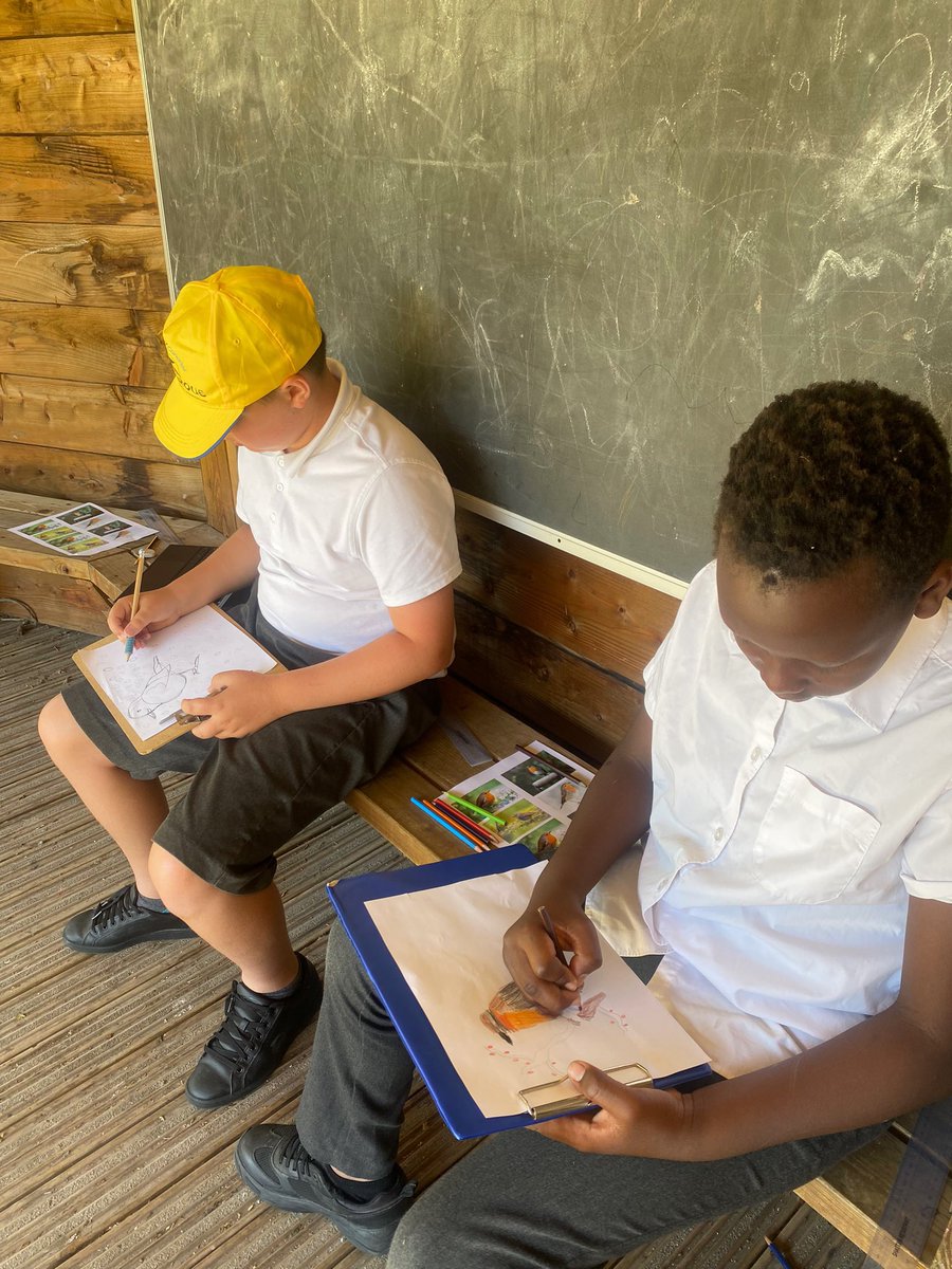 Mrs_C_Camper's tweet photo. Yesterday in the shade and sunshine, we looked at the different types of birds in the garden and started to design our very own bird houses.🕊 We can’t wait to build them! 🏡 https://t.co/Nbq3AqBEYd