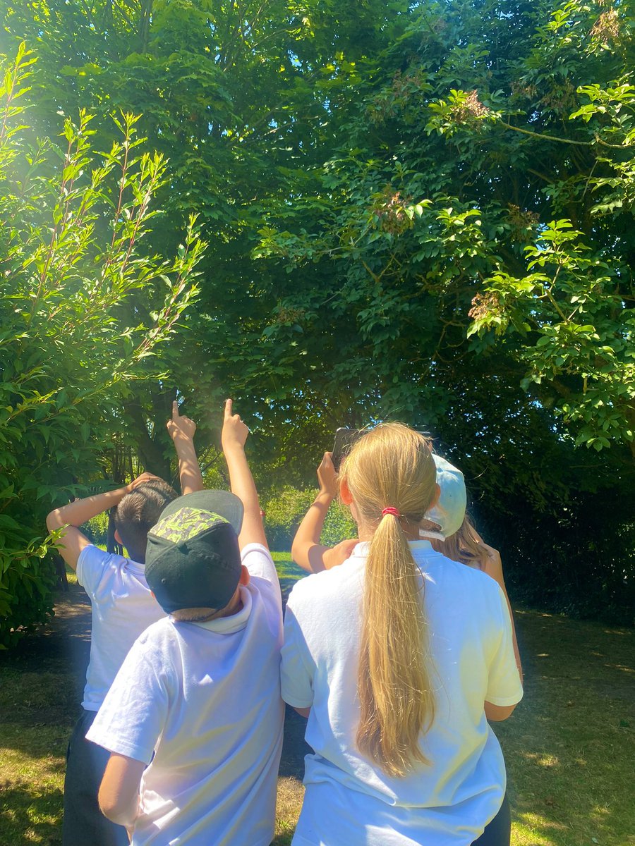 Mrs_C_Camper's tweet photo. Yesterday in the shade and sunshine, we looked at the different types of birds in the garden and started to design our very own bird houses.🕊 We can’t wait to build them! 🏡 https://t.co/Nbq3AqBEYd