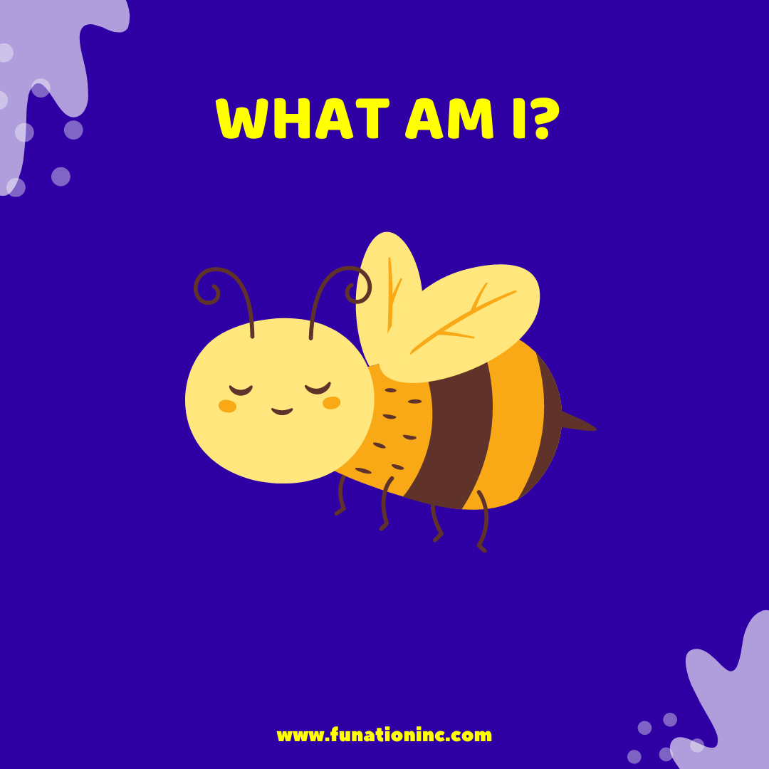 Funationlessons's tweet image. Bumblebee?
Buzzbee?
Beezbee?

What I am?
#buzzbee
#funationlessons
#enrichmentprograms
#dmvchildcarecenters
#dmvdaycares