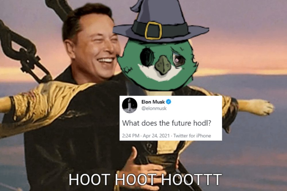 Just for fun 😊 
   #OhSoDirtyMemes #DirtBirdsWTF 
<a href="/Dirt_Birds_NFT/">dirtbirds</a>