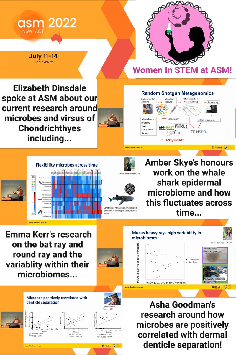 DinsdaleLab's tweet photo. The Dinsdale Lab presented today at #ASM2022 ! Elizabeth Dinsdale spoke about microbes and viruses of Chondrichthyes and Mike Doane spoke about emergent microbiome architecture! Link to more FAME lab presentations! https://t.co/eWFSUjMIMd
#marinescience https://t.co/dHey2R2X8g