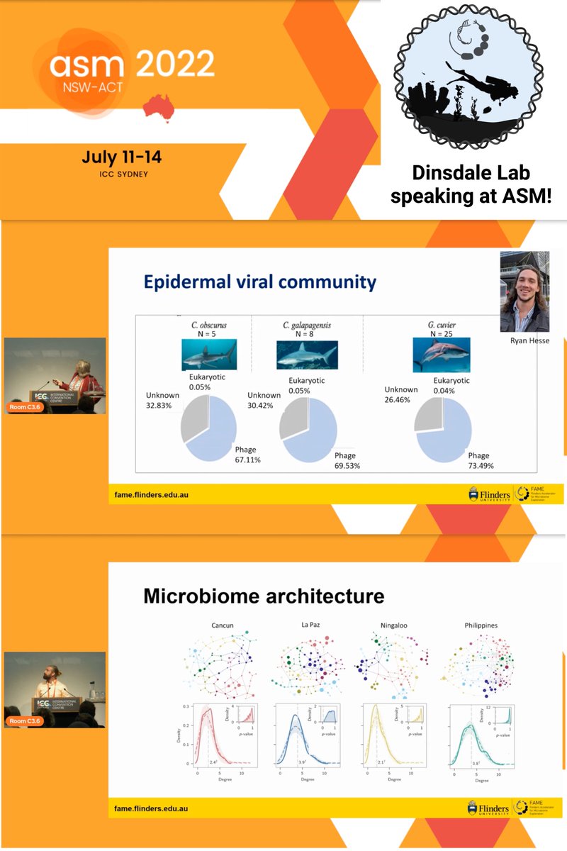 DinsdaleLab's tweet photo. The Dinsdale Lab presented today at #ASM2022 ! Elizabeth Dinsdale spoke about microbes and viruses of Chondrichthyes and Mike Doane spoke about emergent microbiome architecture! Link to more FAME lab presentations! https://t.co/eWFSUjMIMd
#marinescience https://t.co/dHey2R2X8g