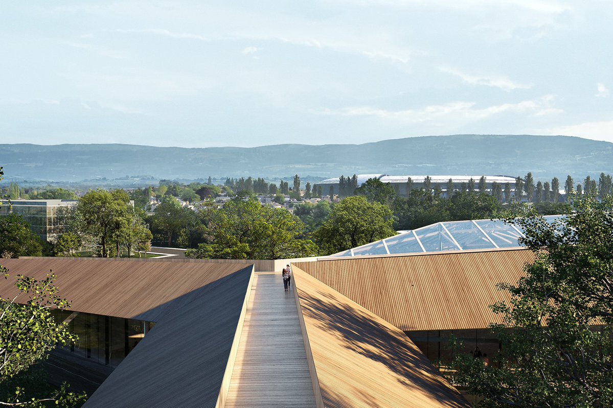 Golden Valley tweet media