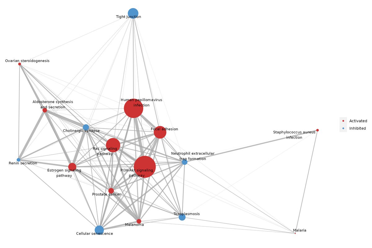 Finally designed a logo for my #Bioconductor package sSNAPPY(bioconductor.org/packages/relea…), a pathway perturbation testing method! Idea came from a key function that visualises significantly perturbed biological pathways as a network, where node colors reflect directions of change.