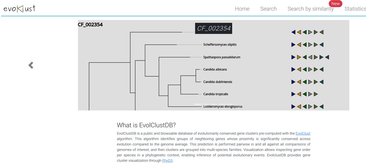 gabaldonlab tweet media