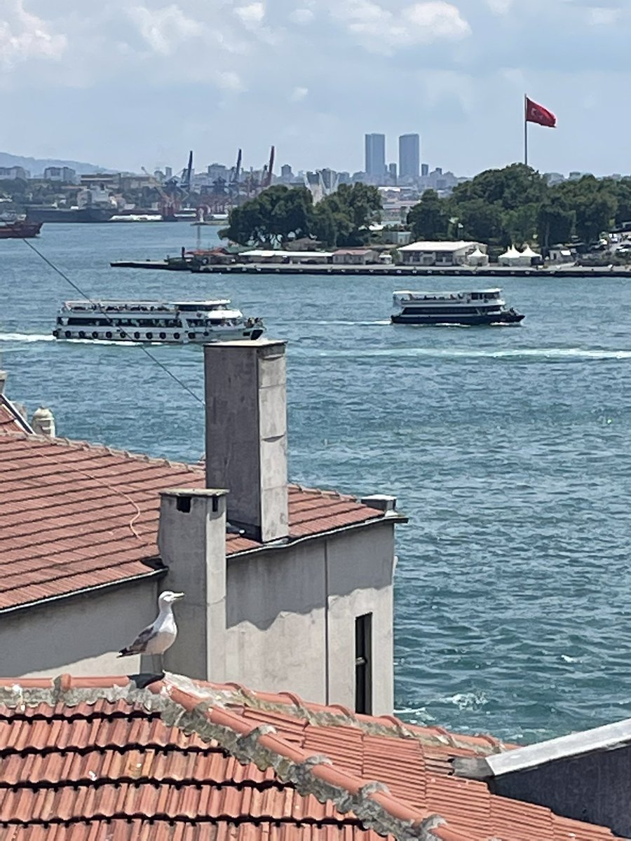 Ida Momennejad tweet media