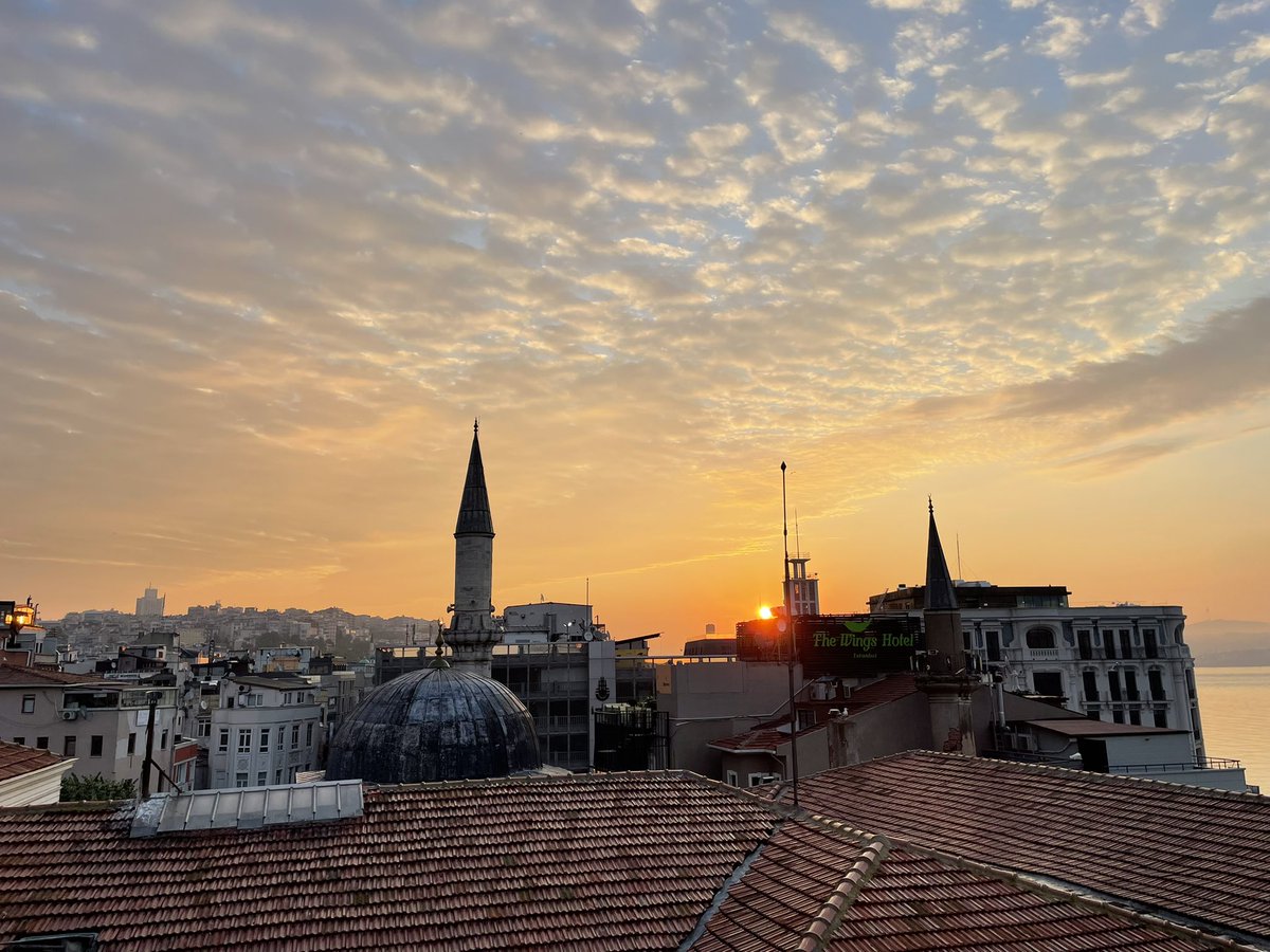 Ida Momennejad tweet media