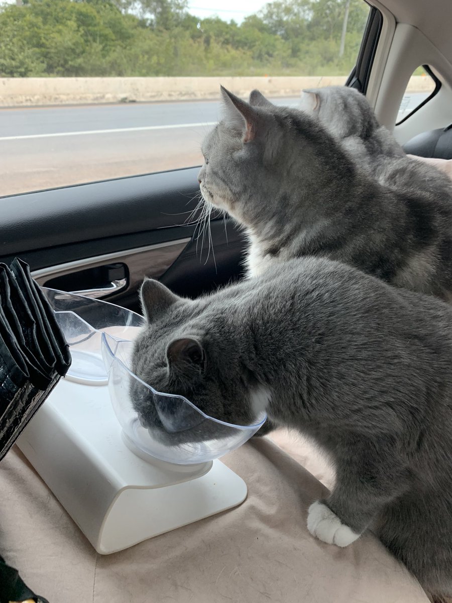 พักรับทานข้าวพร้อมชมวิวอุตรดิตถ์ค่ะ