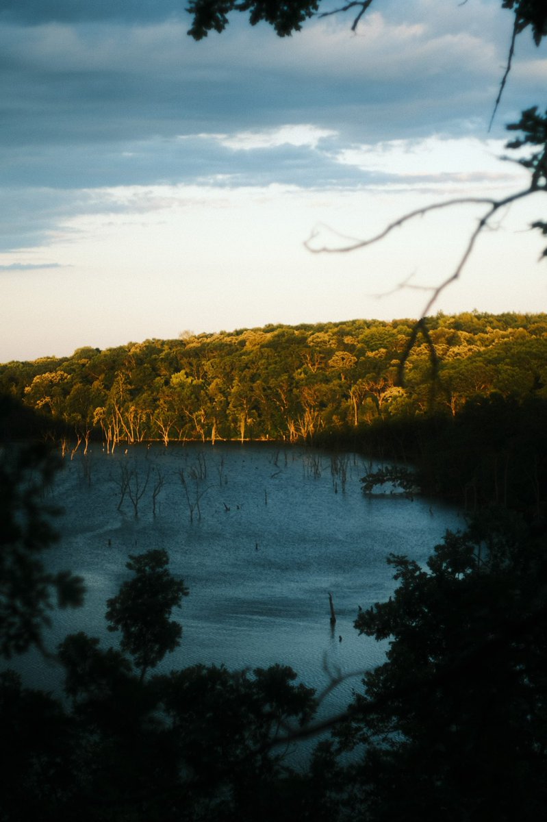 taII_boy's tweet photo. Canon fd 50mm 1.8 on Fuji xt-4

#fujifilm #fujixt4 #minnesotasummer https://t.co/AiIn4gi9r4