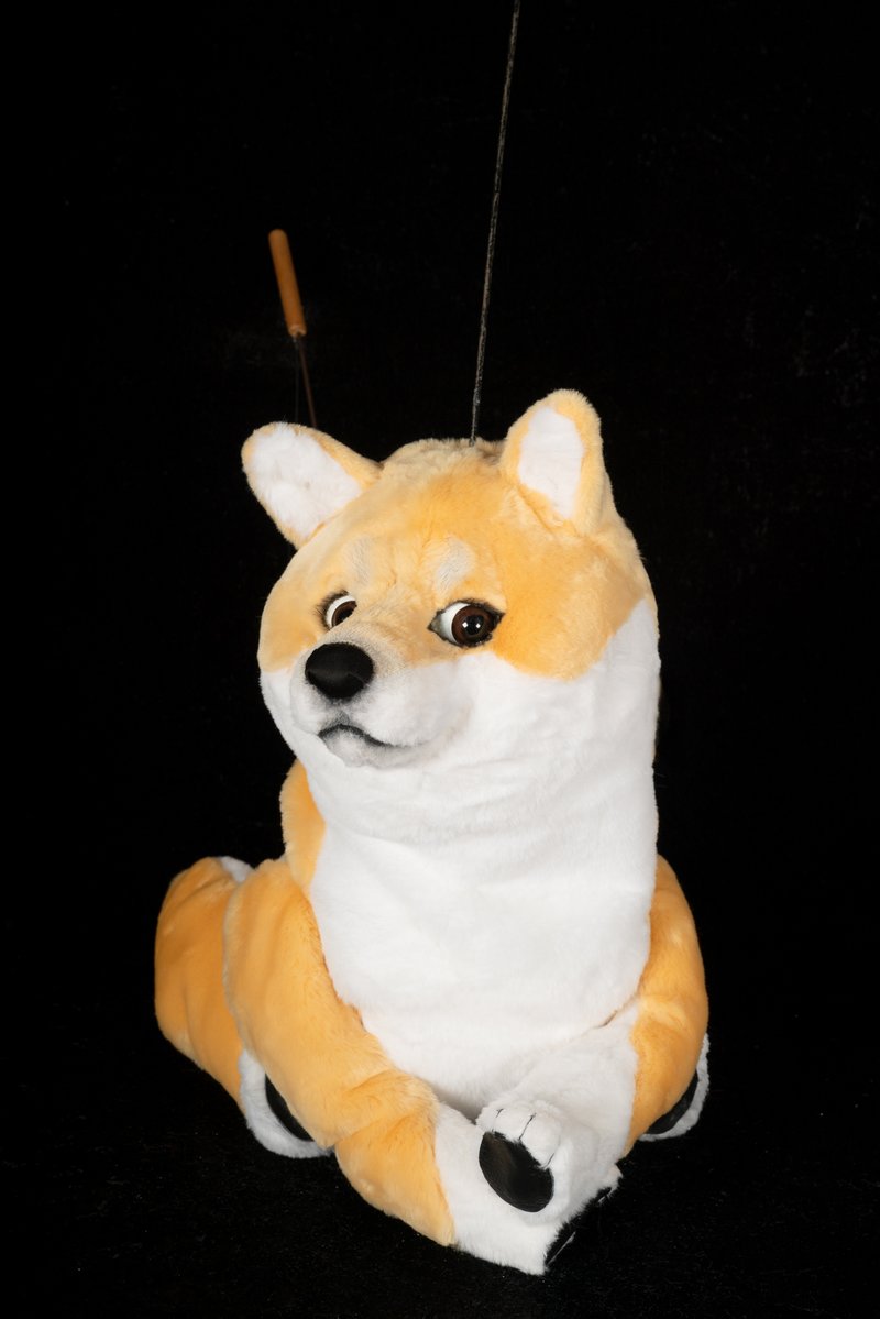 The Wonderful World of Digital Art comes to SPPT! In an Australian first, we are teaming up with local and digital artists to launch Doge Puppet and Puppet NFT’s. 
We all love dogs here at SPPT -  have you heard of Doge? <a href="/ownthedoge/">Own The Doge 🐶🖼</a> 
sppt.asn.au/2022/07/12/spa…